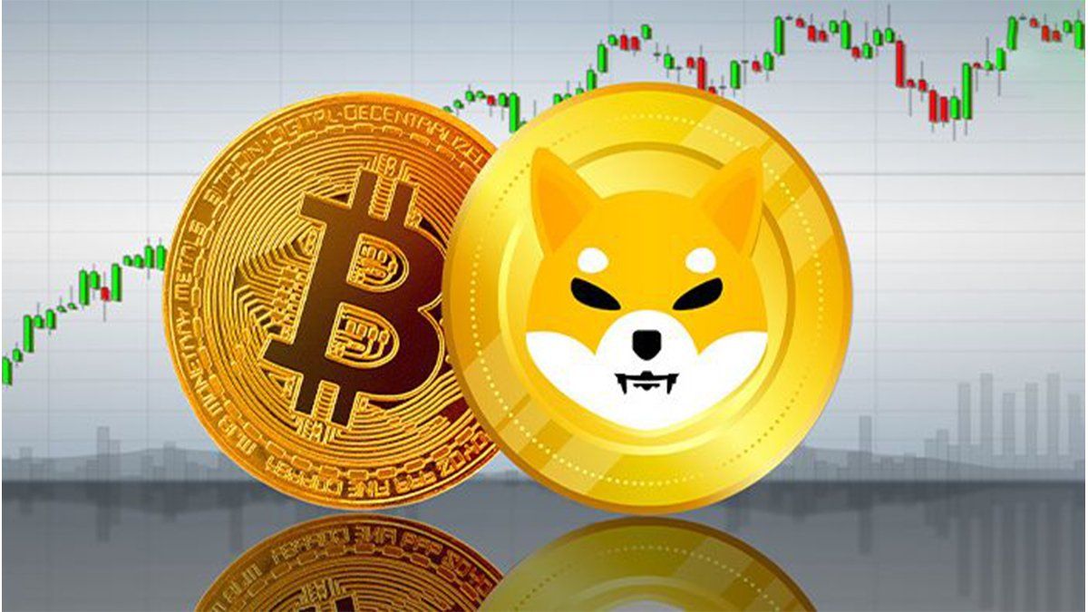Shiba Inu cerca de superar a Bitcoin en búsquedas de Google