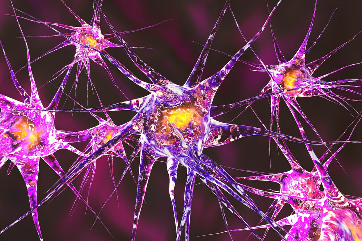 Esto sí que es interesante. Esto sí que es interesante.