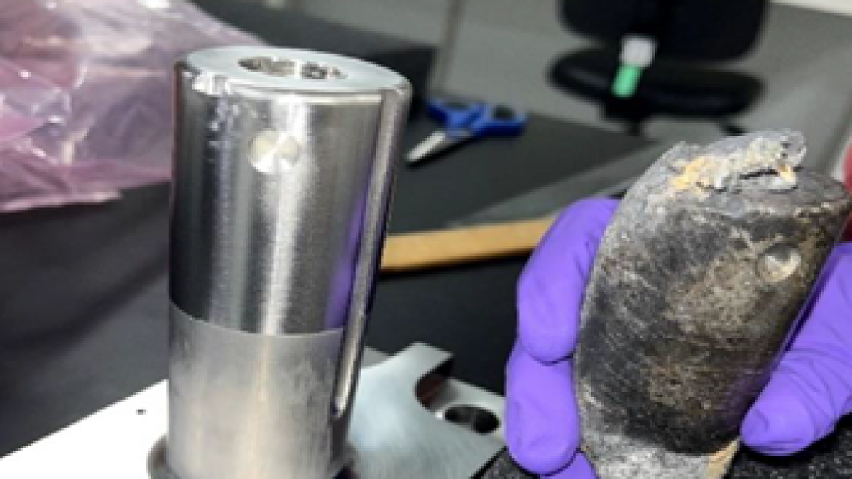 Esto en la cabeza de alguien habría causado caos. Esto en la cabeza de alguien habría causado caos. 