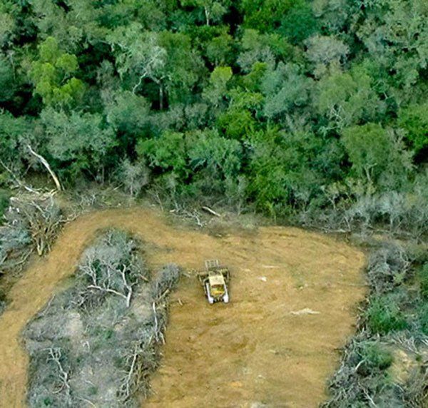 La imagen ejemplifica la tragedia.