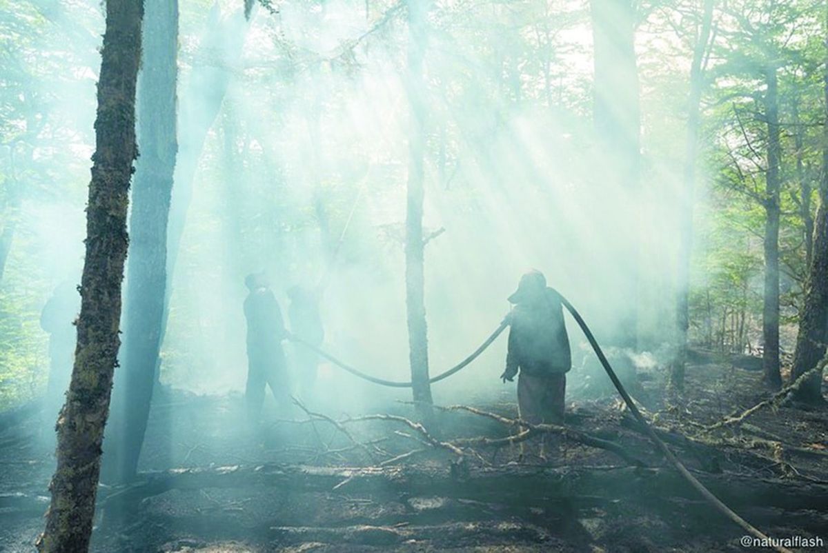 La ayuda llega luego de que el incendio arrasara con más de 10.000 hectáreas en el corazón de Tierra del Fuego.