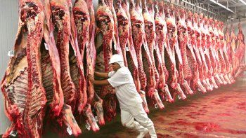 Con Milei, Argentina perdería en 2024/2025 casi 2 millones de cabezas vacunas