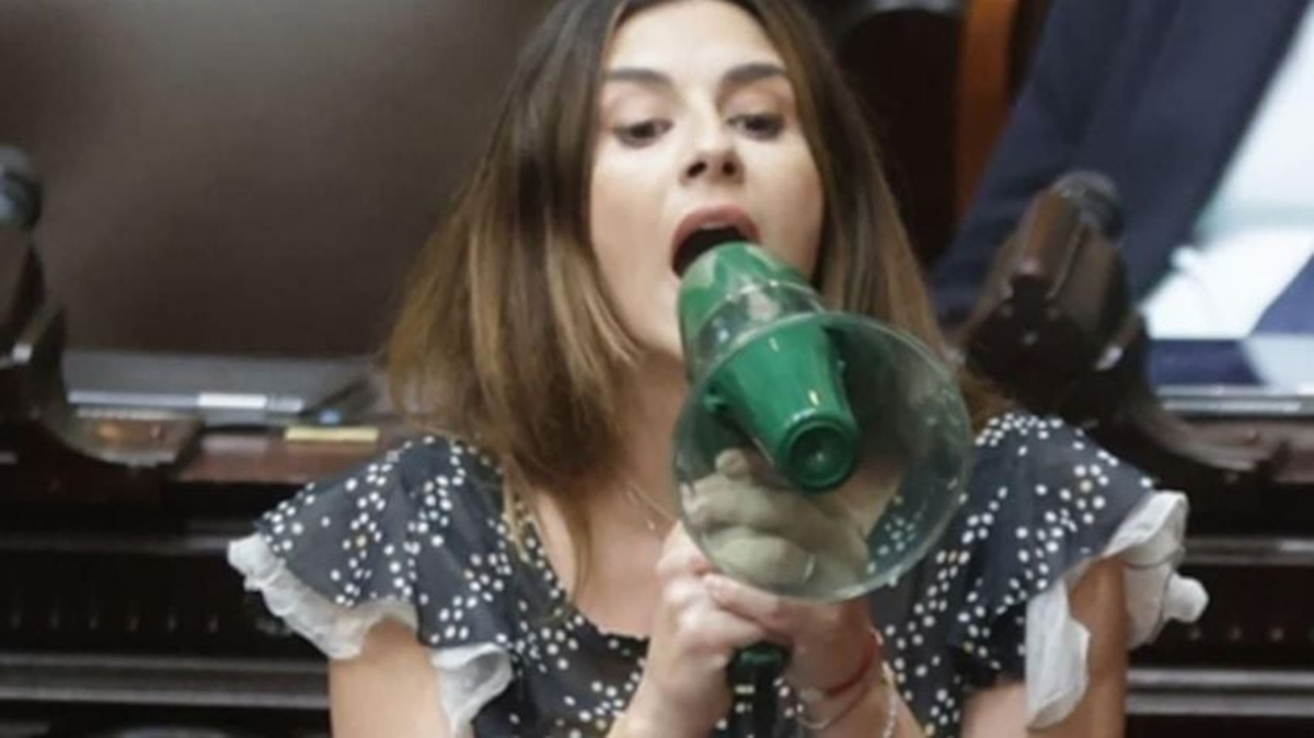 Marcela Pagano tomó un megáfono cuando Martín Menem silenció su micrófono Marcela Pagano tomó un megáfono cuando Martín Menem silenció su micrófono