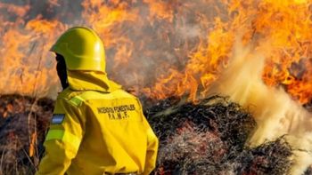 La lluvias aliviaron el trabajo en Tierra del Fuego, pero la batalla, que inició a fines de noviembre, aún no está ganada. La lluvias aliviaron el trabajo en Tierra del Fuego, pero la batalla, que inició a fines de noviembre, aún no está ganada.