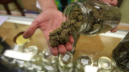 ANMAT prohibió un chocolate que alude a la marihuana