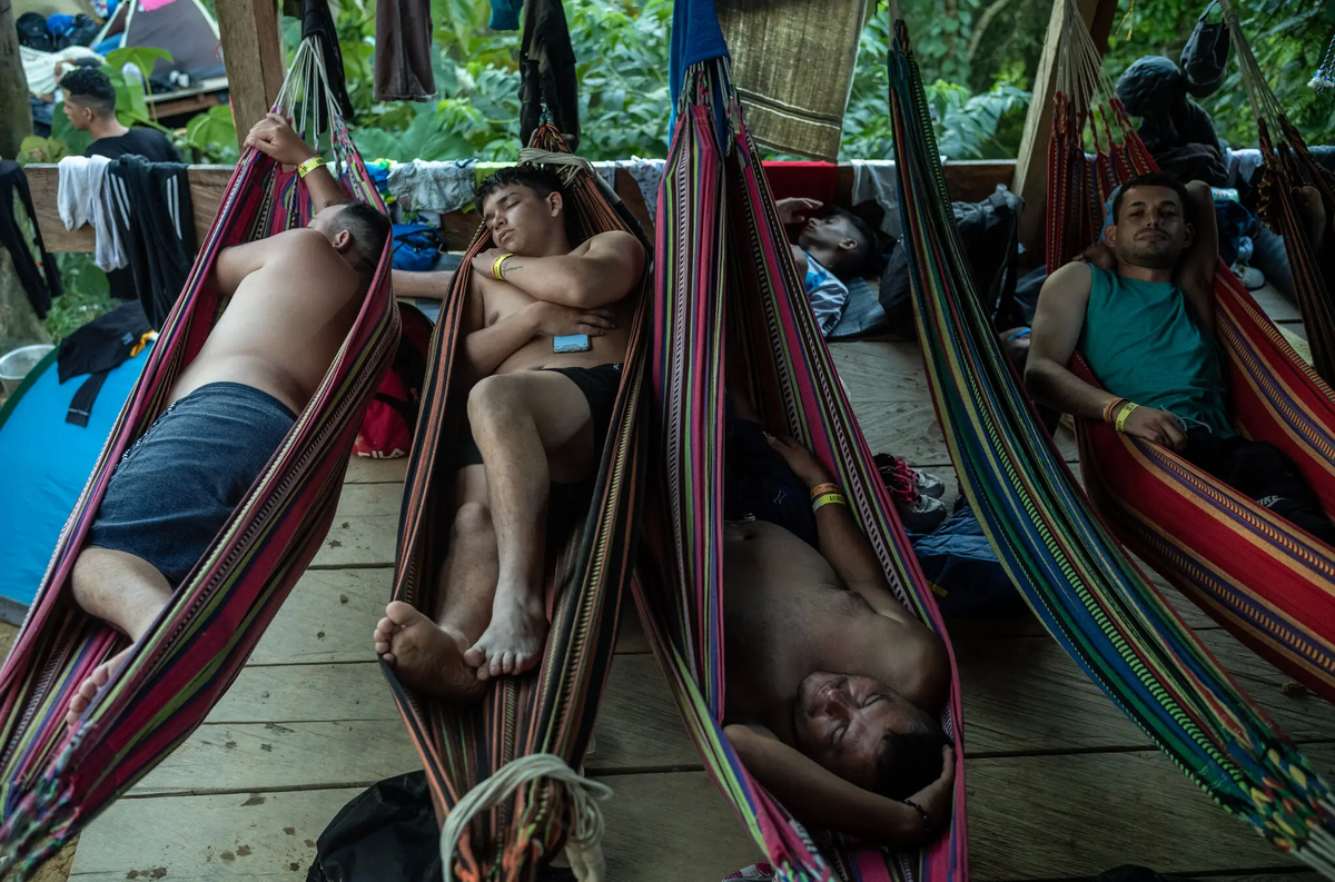 Las hamacas se alquilan en la selva para domir luego de 10 horas de caminata. Las hamacas se alquilan en la selva para domir luego de 10 horas de caminata.