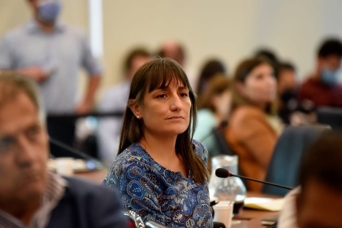 Romina Del Pla cuestionó los escasos fondos que se transfieren a las universidades