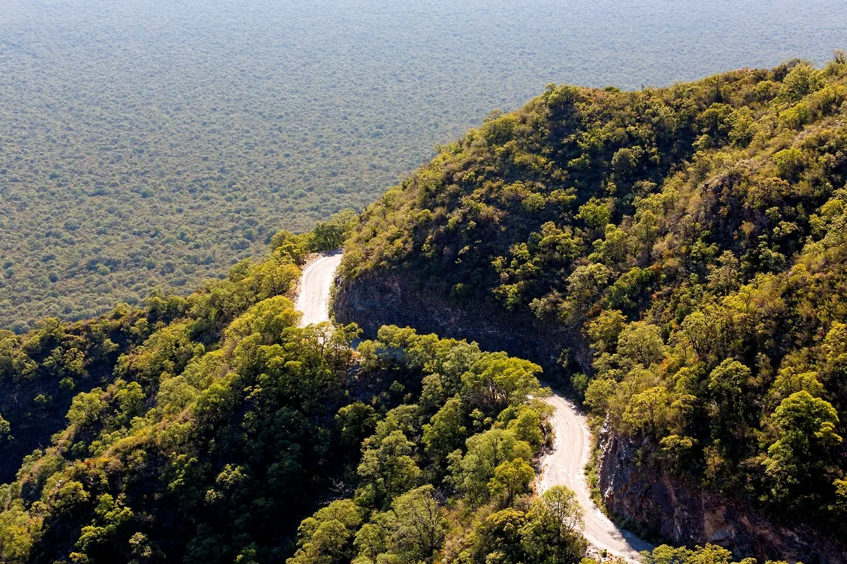 La Reserva Natural Chancaní es una parada inevitable para apreciar la vista de este extenso parque natural. Foto: Argentina Forestal