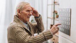 &nbsp;¿Qué enfermedades pueden causar el Alzheimer?