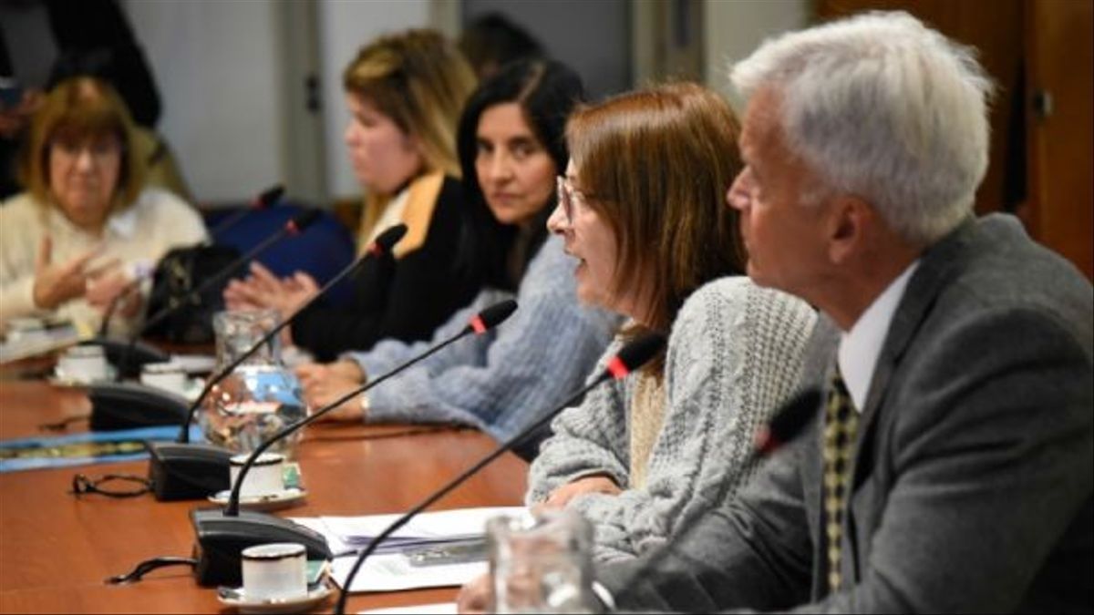 Madres del Dolor expusieron en la comisión de Legislación Penal en Diputados