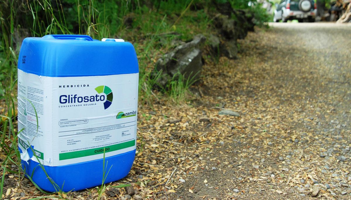 Tras la normativa en Misiones, la ministra de Agricultura Familiar de la provincia, Marta Ferreira, afirmó: