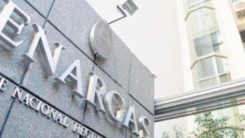 En Enargas el 'dedazo' de María Tettamanti: 'interino' Marcelo Alejandro Nachón