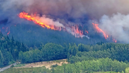 El incendio en Epuyén arrasó con todo.