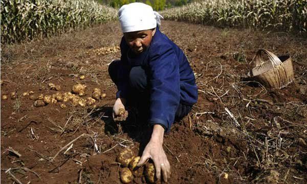 China y la economía que ya no será.