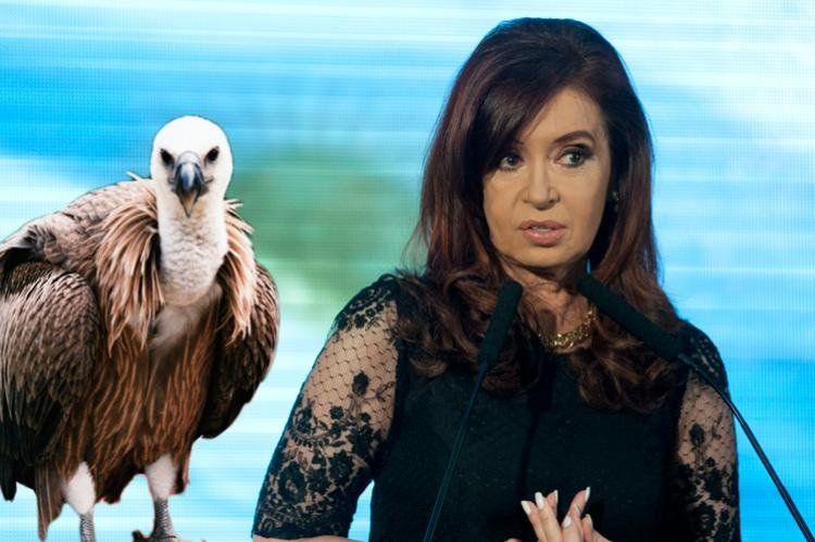 cristina buitre NA.jpg