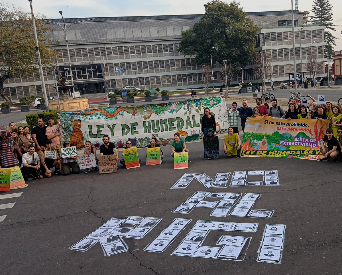 Movimientos ambientalistas estarán presentes en la votación. Movimientos ambientalistas estarán presentes en la votación.