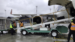 Intercargo en jaque: Nuevas empresas llegan a la Argentina