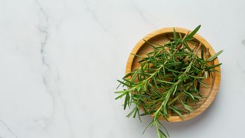 Planta para la memoria: Nuevo descubrimiento sobre el romero y el Alzheimer / Imagen de jcomp en Freepik. Planta para la memoria: Nuevo descubrimiento sobre el romero y el Alzheimer / Imagen de jcomp en Freepik.