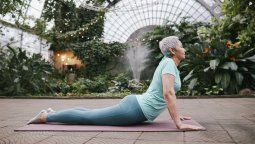 A pesar de los múltiples estudios en curso de tratamientos y fármacos para el Alzheimer, hoy en día la prevención sigue siendo el método probado más eficaz.