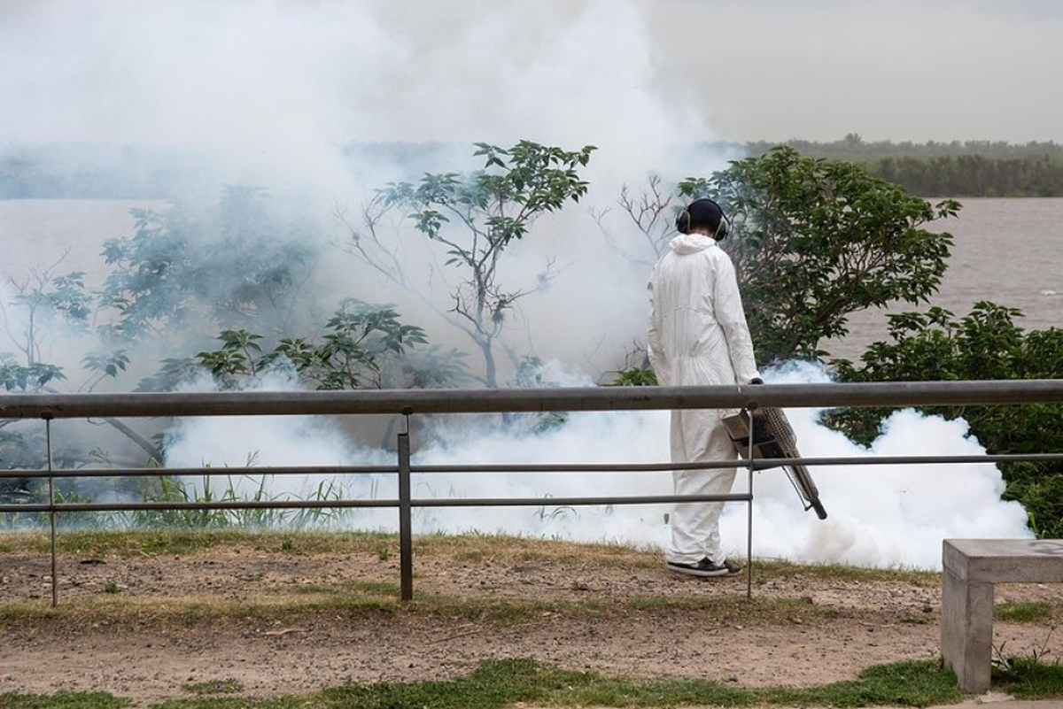 En Rosario siguen los operativos de fumigación. En Rosario siguen los operativos de fumigación.