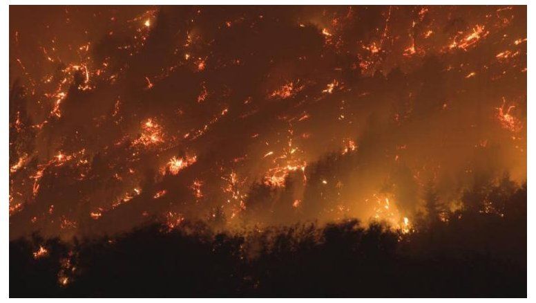 ¿Por qué Javier Milei no viajó a Patagonia?; el ICE de USA detuvo a niño de 5 años