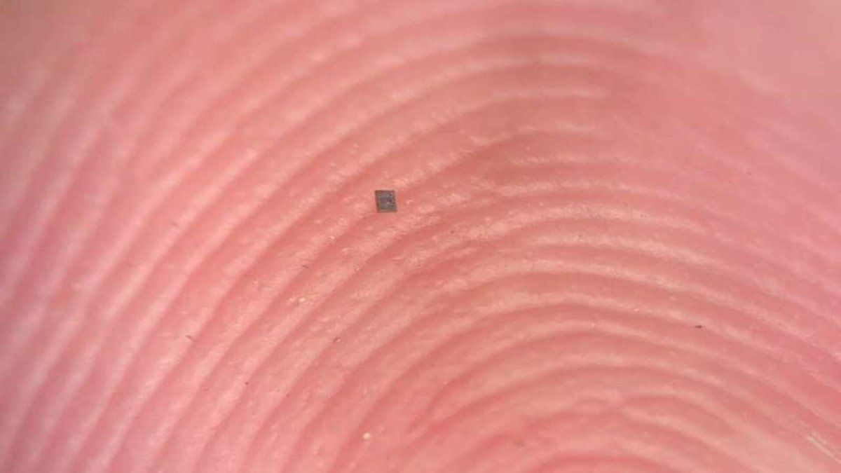 Parece más pequeño que una pulga.