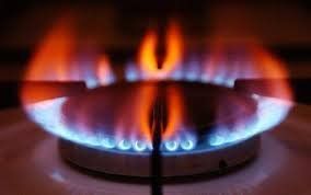El control del Enargas sobre las facturas de gas, incluye a la aplicación de los cuadros tarifarios vigentes en función de la categoría del usuario y la subzona tarifaria.