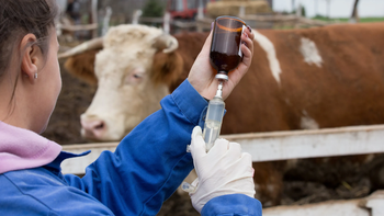 barrera sanitaria: la patagonia dice haber encontrado el hielo para mantener todo como hasta ahora barrera sanitaria: la patagonia dice haber encontrado el hielo para mantener todo como hasta ahora
