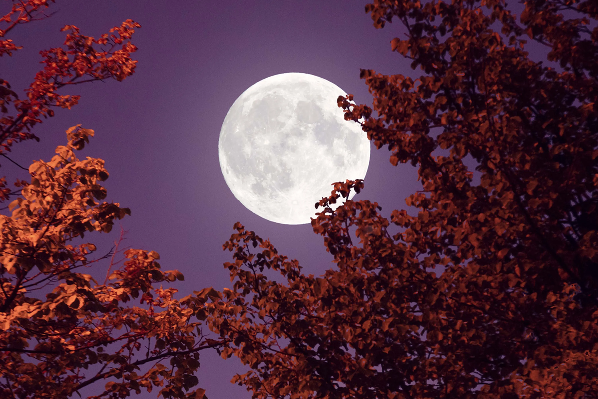 La Luna y su centro son parecidos al de la Tierra. (Foto: Milamai/Getty).
