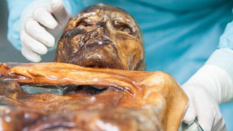 Hallazgo de la ciencia en esta momia lo cambia todo: