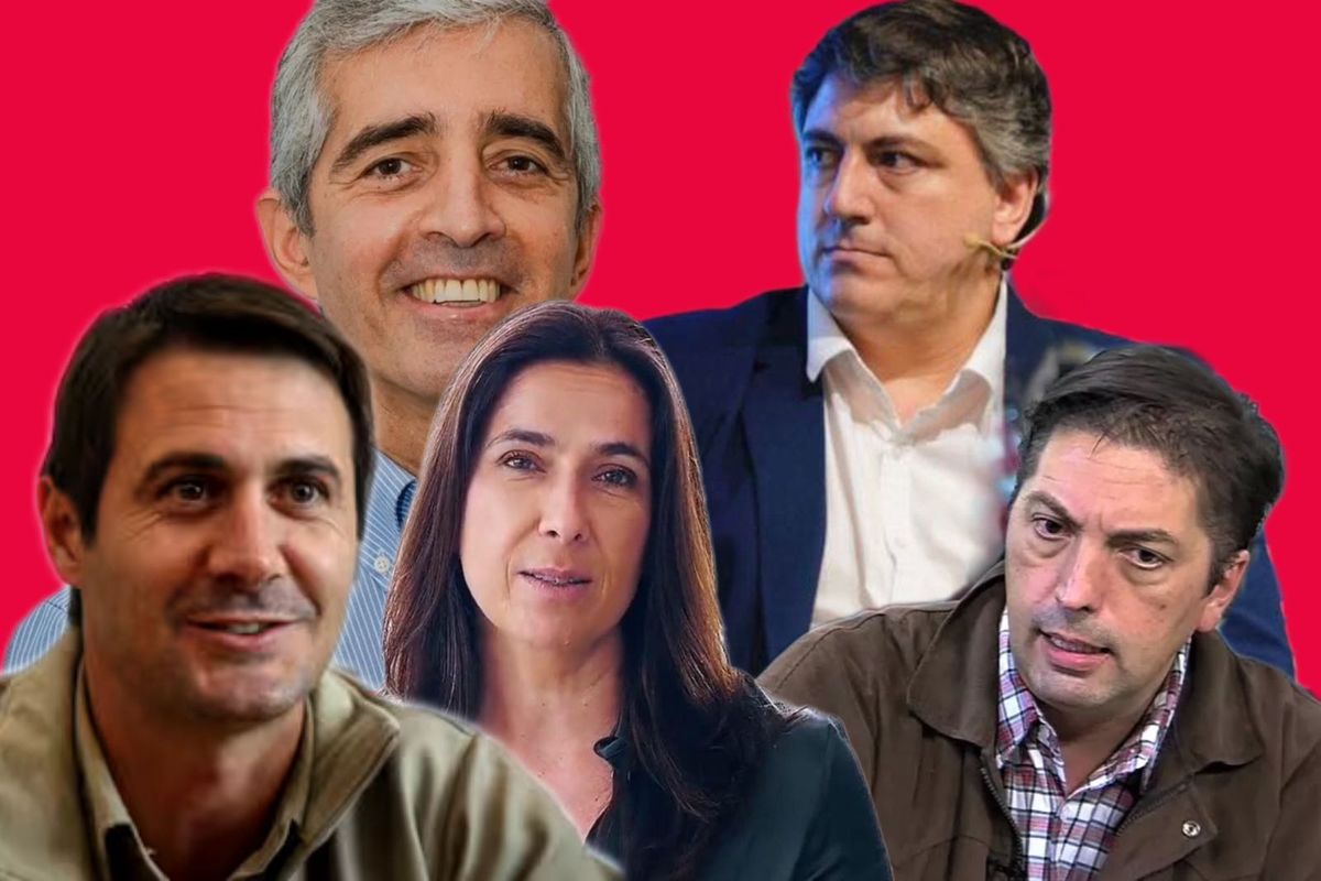 Los pro Milei que aspiran a participar de las elecciones en el 2025.