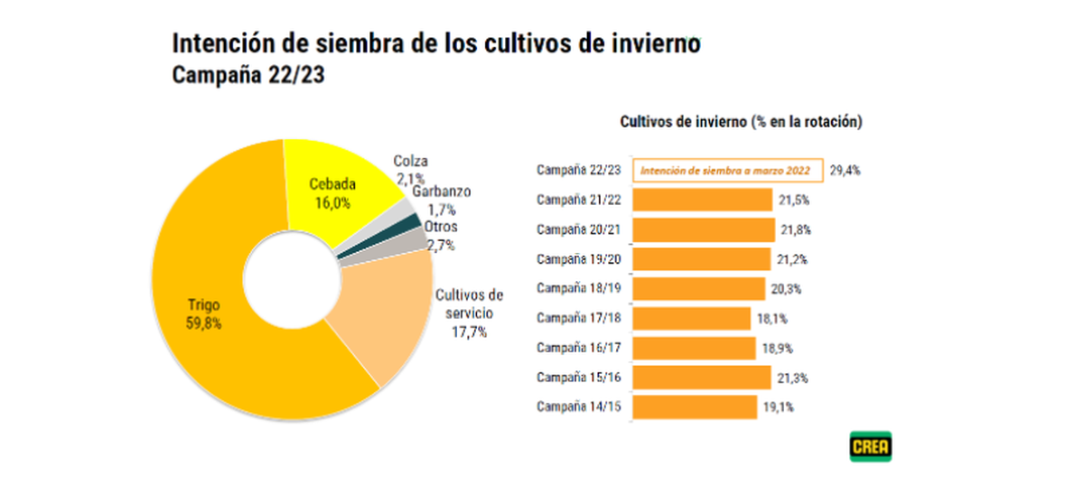 Gráfico de intención de siembra en el agro.