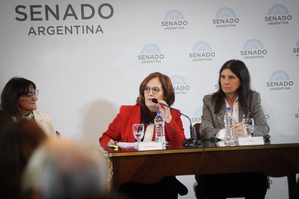 Alejandra Vigo acompañó la reforma laboral en el Senado. Alejandra Vigo acompañó la reforma laboral en el Senado. 