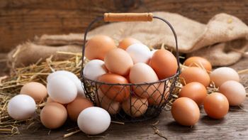 ¿Por qué los huevos son de diferentes colores? ¿Por qué los huevos son de diferentes colores?