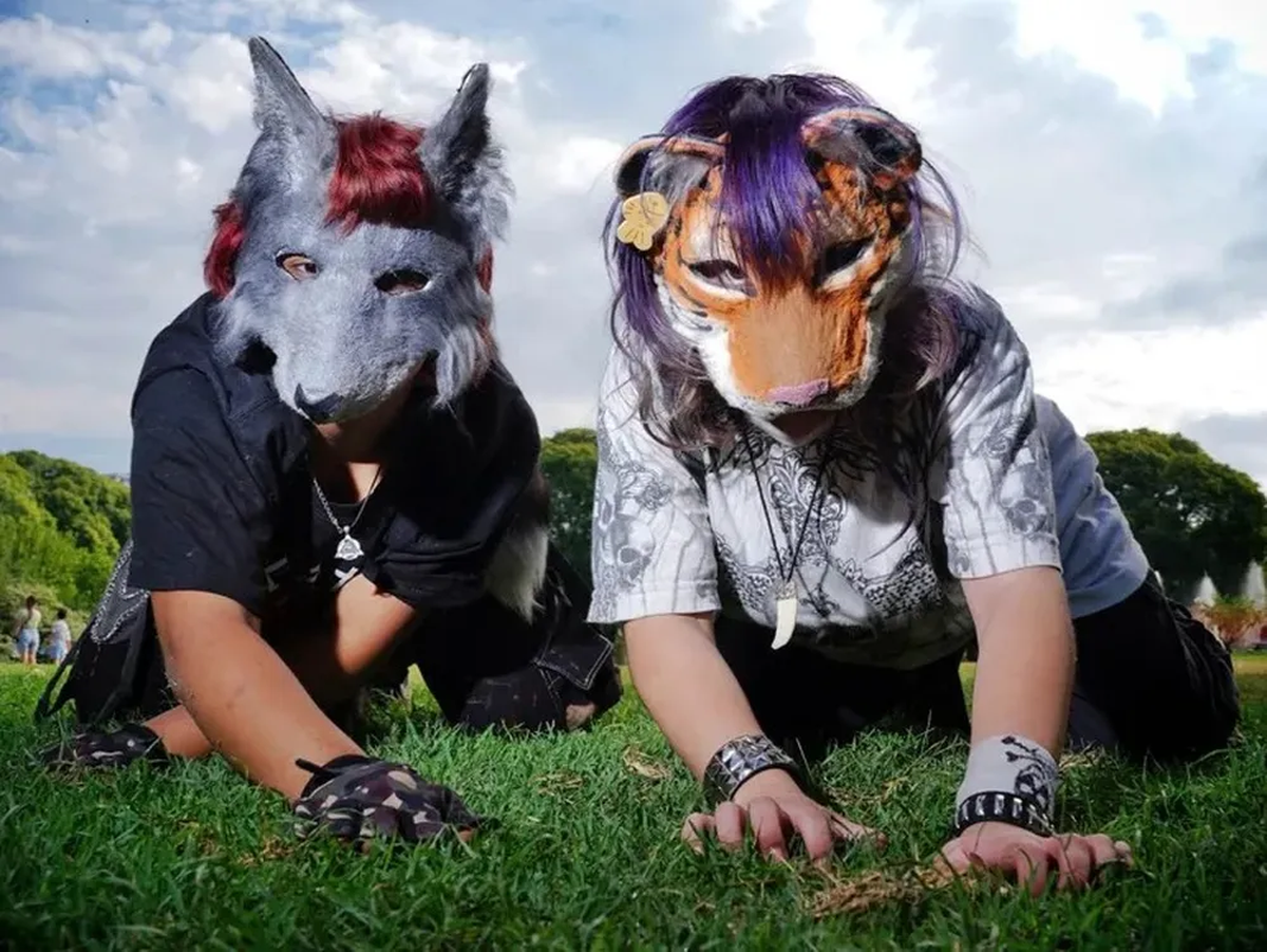 Tres incidentes virales mostraron los límites de la fantasía: un veterinario irónico, un hospital que Tres incidentes virales mostraron los límites de la fantasía: un veterinario irónico, un hospital que