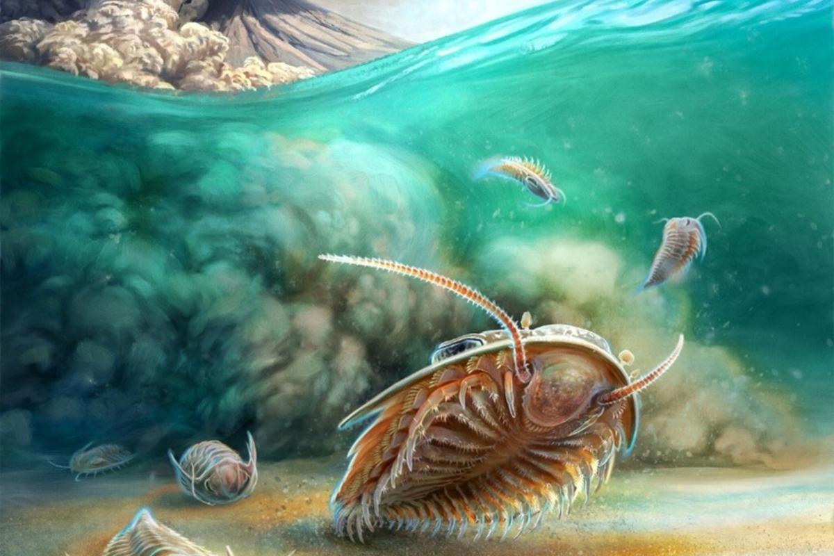 Lee esto porque vas a quedar sorprendido. Lee esto porque vas a quedar sorprendido. 