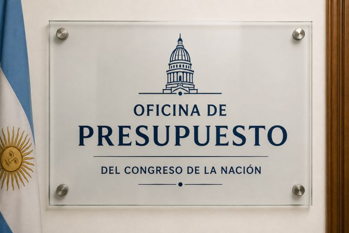 La auditoría a la Oficina de Presupuesto del Congreso (OPC) encontró varias irregularidades. La auditoría a la Oficina de Presupuesto del Congreso (OPC) encontró varias irregularidades.