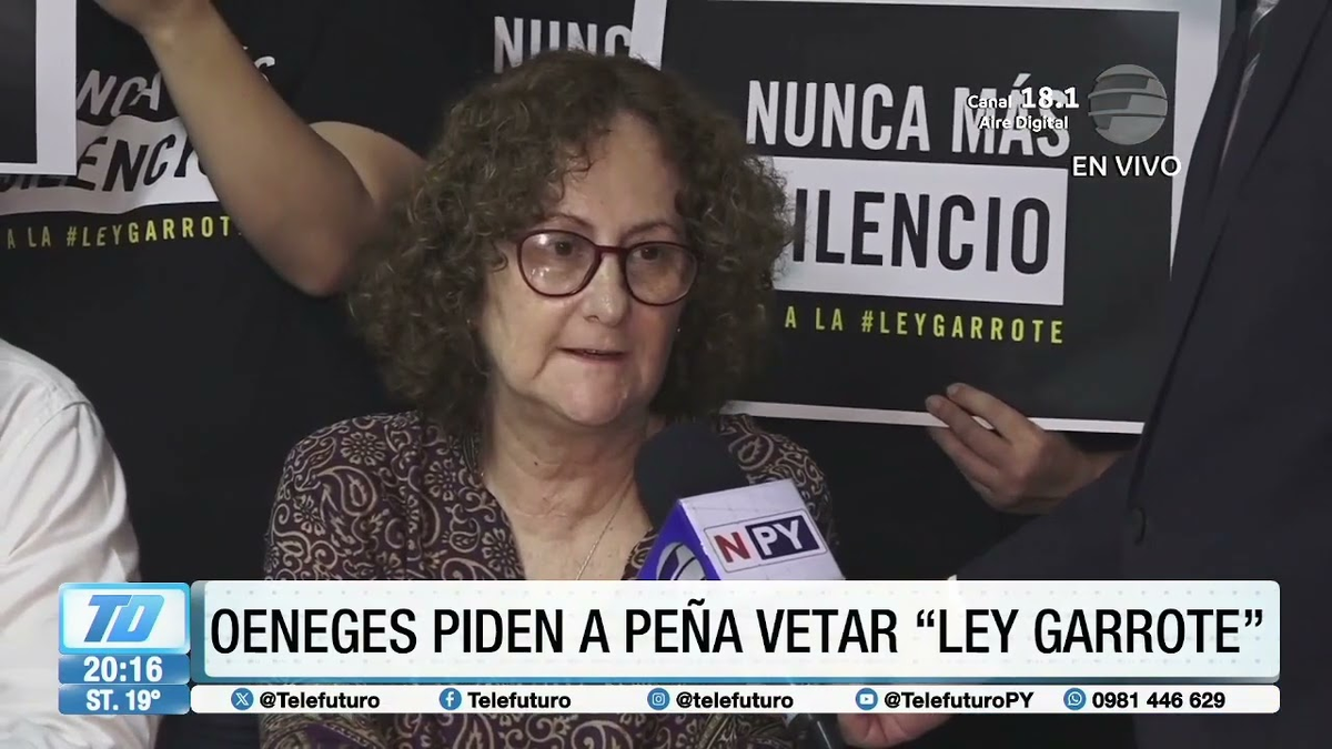 Protestas sociales contra la ley anti ONG de Peña. Protestas sociales contra la ley anti ONG de Peña.