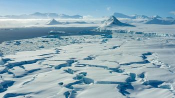 El impresionante descubrimiento en la Antártida que shockea a la ciencia