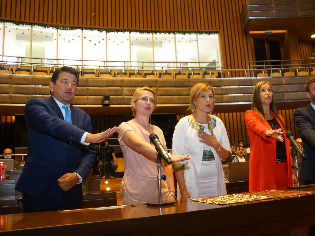 Norma Sawicz eligió para el día de su asunción una remera con la bandera del Reino Unido.