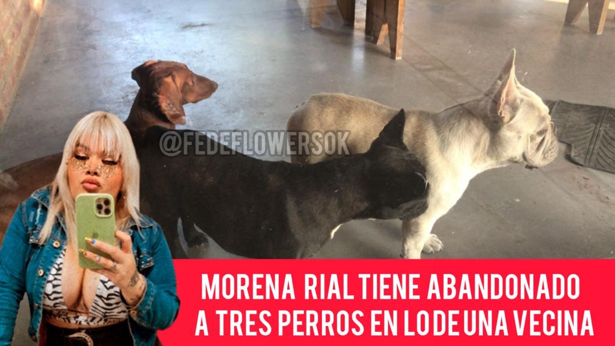Foto: Twitter / Federico Flowers