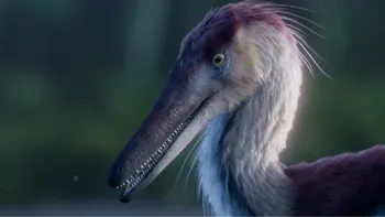Kanka australis, el nuevo dinosaurio de Argentina que impresiona a la ciencia. Kanka australis, el nuevo dinosaurio de Argentina que impresiona a la ciencia.