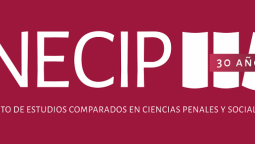 altText(Abierto apoyo al DNU que prohíbe acciones de inteligencia)}