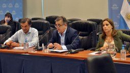 Juicio político: Mario Negri y diputados de la UCR.