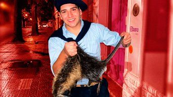Mataron a golpes a un animal en Bahía Blanca, se filmaron y hay denuncia penal