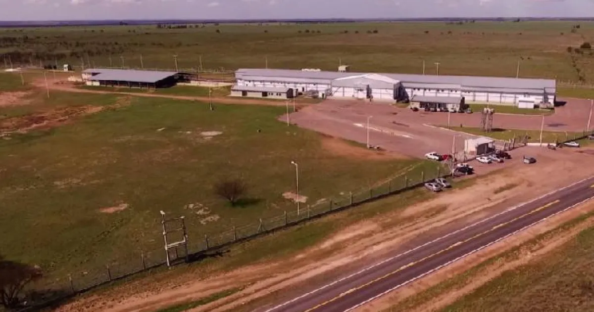 El Frigorífico HV S.A. de Bernasconi es un eslabón clave de la industria cárnica pampeana con más de 30 años de trayectoria. El Frigorífico HV S.A. de Bernasconi es un eslabón clave de la industria cárnica pampeana con más de 30 años de trayectoria.