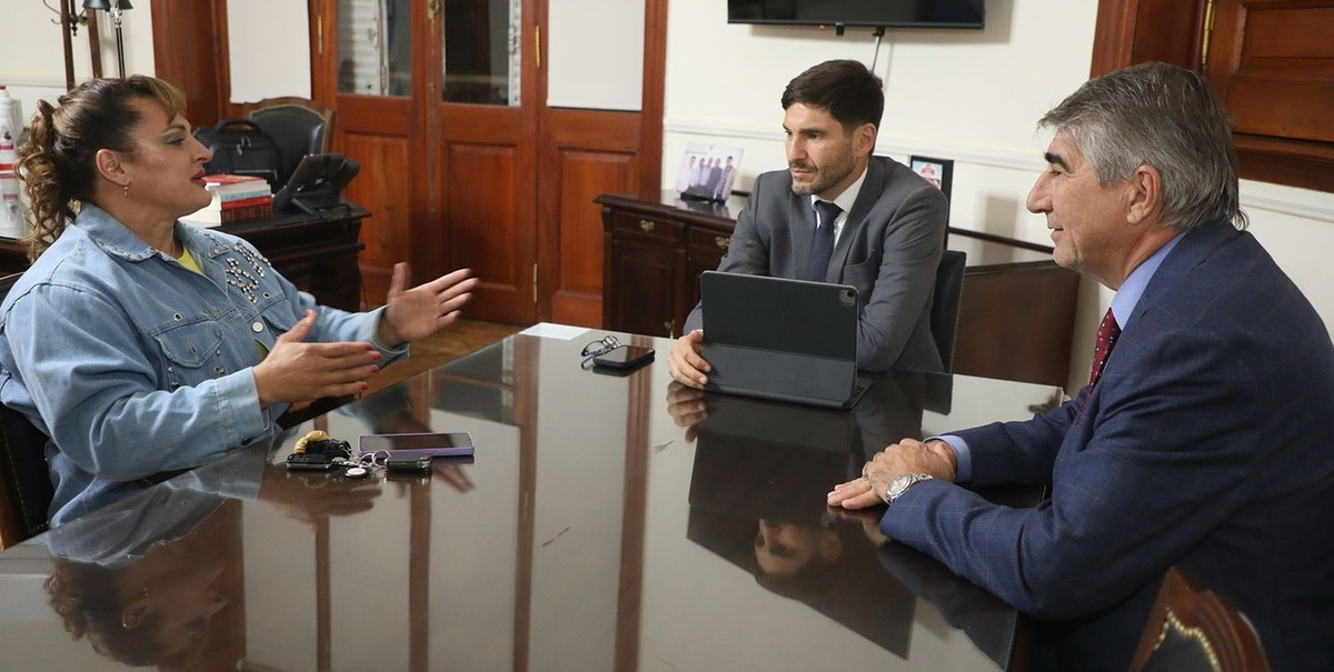 La exboxeadora juega del lado oficialista. La exboxeadora juega del lado oficialista. 