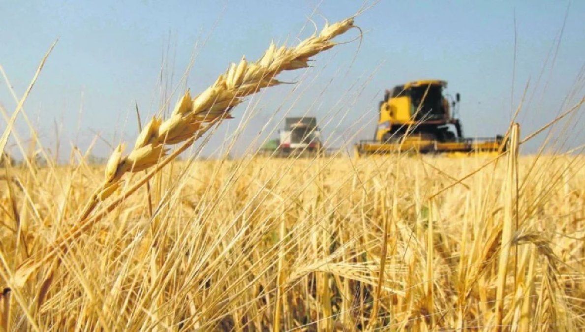 El regreso de La Niña pone al campo en jaque ¿Fin de El Niño?