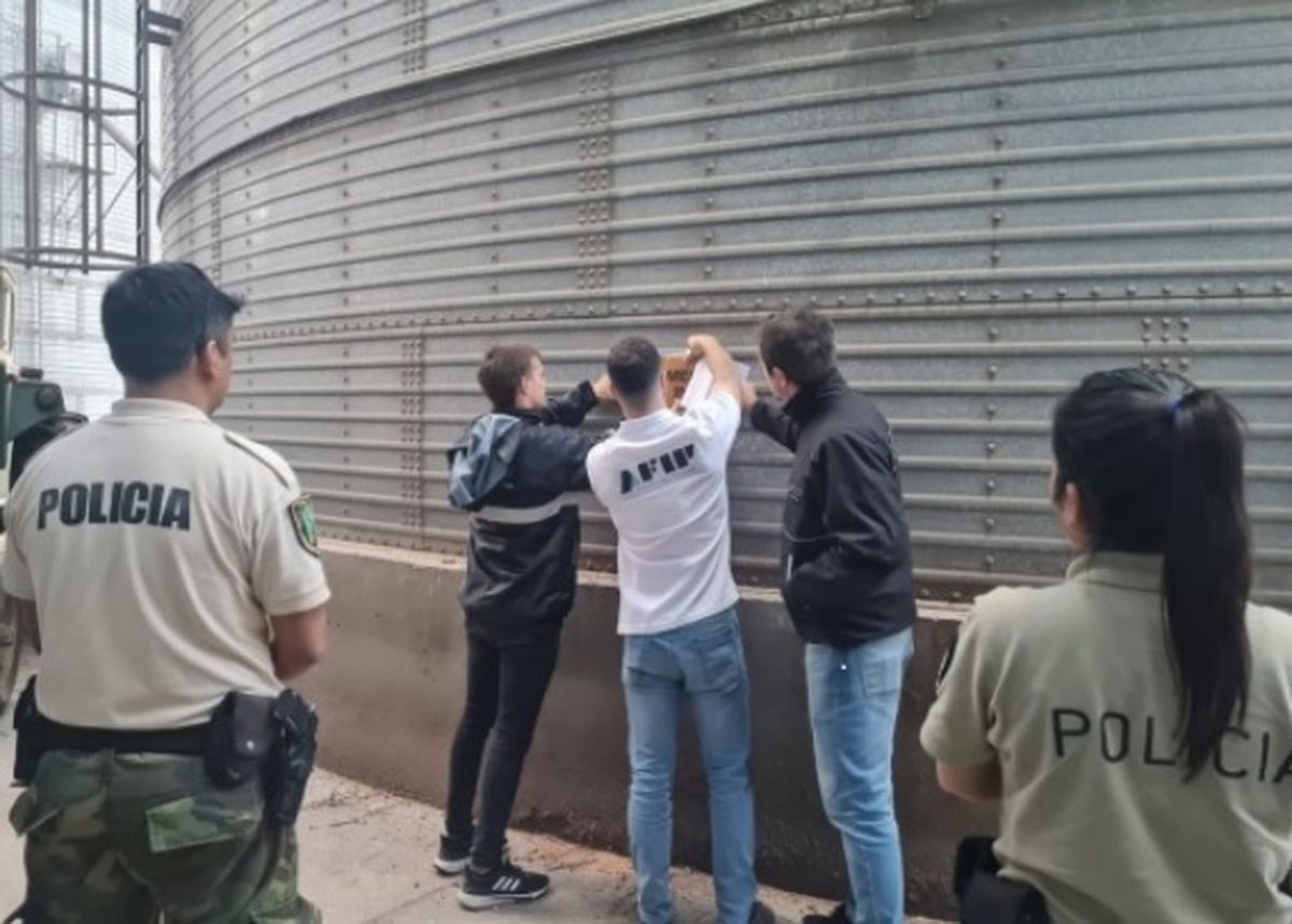 Agentes de la AFIP incautaron granos para alimentar animales en engorde Agentes de la AFIP incautaron granos para alimentar animales en engorde
