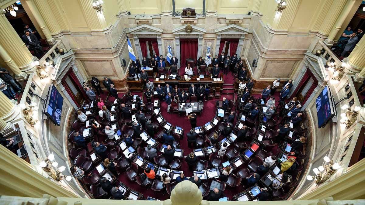 El Senado aprobó el Régimen Penal Juvenil.